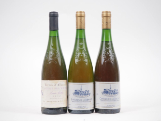 Vente aux enchères 3 BOUTEILLES COTEAUX DE L'AUBANCE : 1 TERRES D'ALLAUME "CUVÉE CÉLINE" 