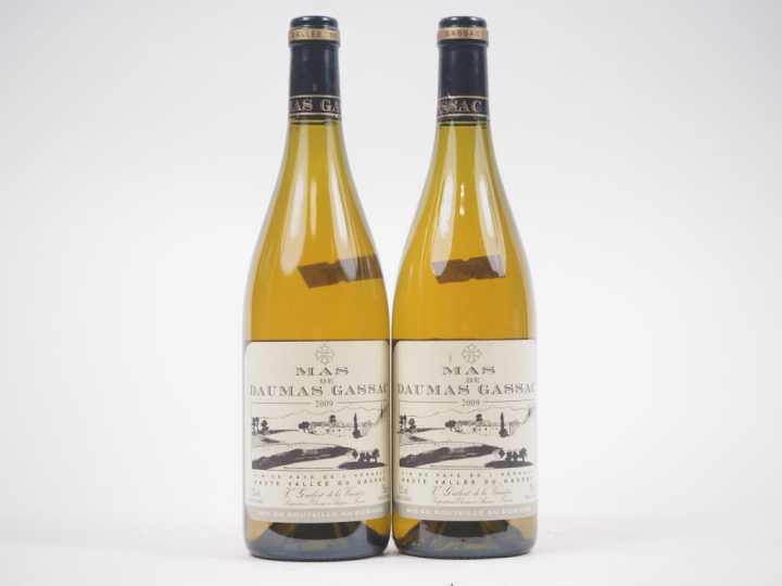 2 BOUTEILLES MAS DE DAUMAS GASSAC BLANC - 2009