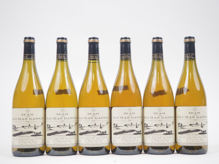 6 BOUTEILLES MAS DE DAUMAS GASSAC BLANC - 2009