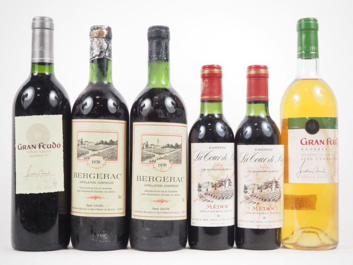 6 BOUTEILLES : 1 NAVARRA VINAS VIEJA "GRAN FUEDO" - 1995 / 2 BERGERAC 