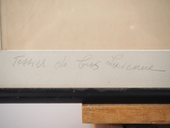 TESSIER.  "portrait de jeune femme" Dessin, signé en bas à gauche  Dim
