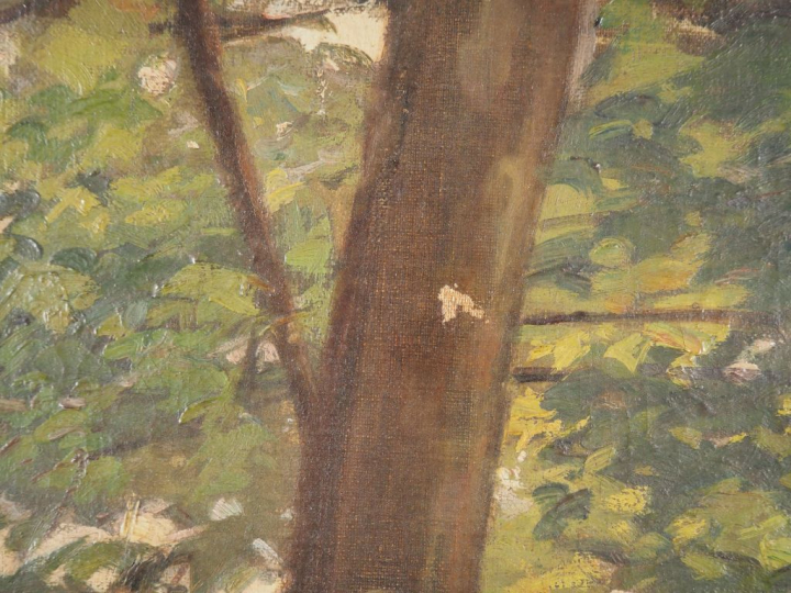 Ecole française Xxème.  'paysage lacustre'. Huile sur toile, signée Di