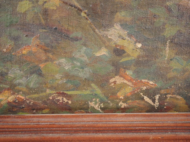 Ecole française Xxème.  'paysage lacustre'. Huile sur toile, signée Di