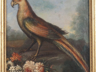 Vente aux enchères Ecole française XVIIIème. "oiseau et fleur" Huile sur toile  (restauré