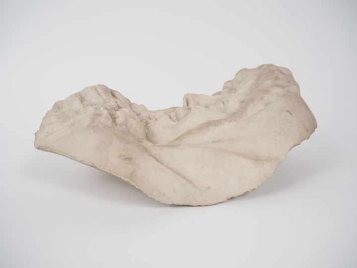 Émile Antoine BOURDELLE (1861-1929). "Violettes et Roses, jeune fille 