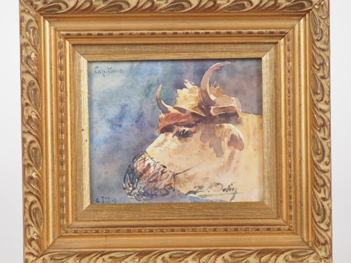 Blanche ODIN.  "portrait de la vache capitana" et "trophée d'oiseau" A