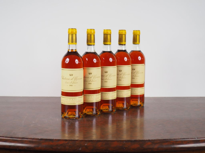 5 BOUTEILLES CHÂTEAU D'YQUEM 1er CCS SAUTERNES - 1983 - CBO x 12 - #1 