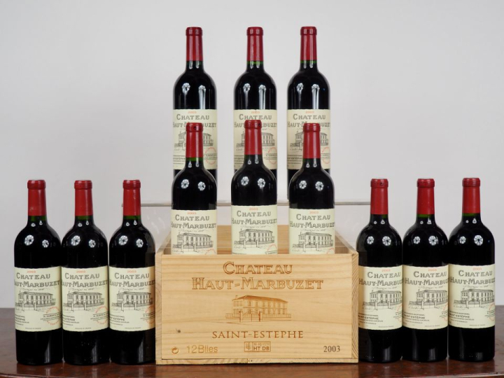 12 BOUTEILLES CHÂTEAU HAUT MARBUZET SAINT ESTÈPHE - 2003 - CBO - #3