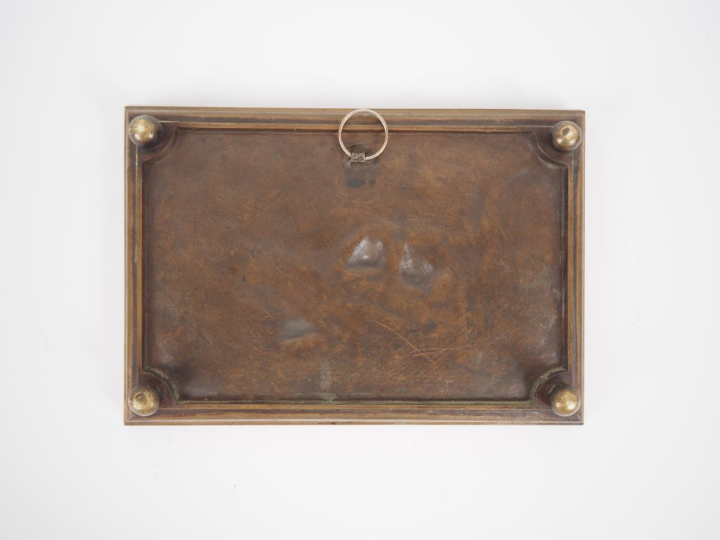 M. THOMAS SOYER.  Plaque 1900 en bronze à décor en léger relief d'oise