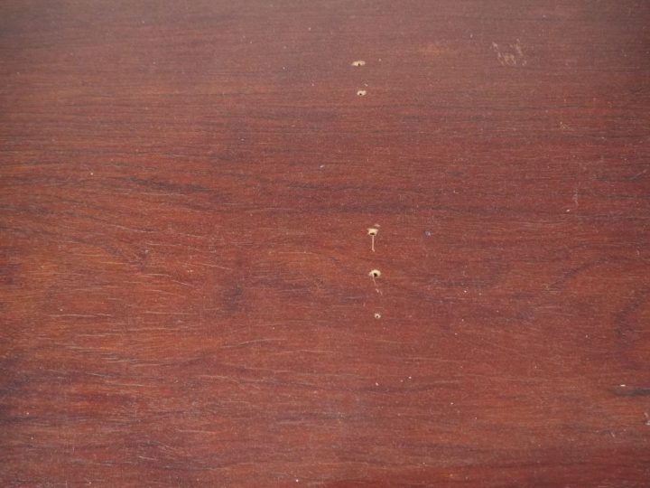Table basse en placage de palissandre, ouvrant à deux tiroirs, prises 