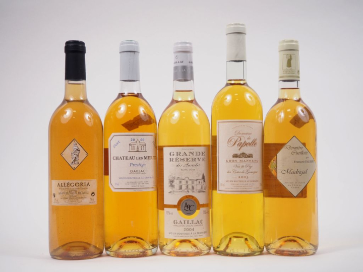5 BOUTEILLES : 1 SAUVIGNON BLANC "ALLÉGORIA" 2008 - 1 GAILLAC CHÂTEAU 