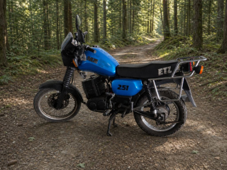 Vente aux enchères MZ 251 ETZ :  Numéro de série : 2602342. Numéro moteur : 1568784. 1ère