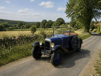 Vente aux enchères CITROEN C3 5HP TREFLE  :  Numéro de série 7765. Carte grise française.
