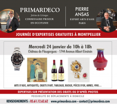 Acheter aux enchères JOURNÉE D'EXPERTISES GRATUITES à MONTPELLIER